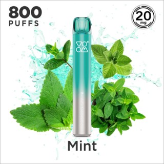 MESH MINI MINT 20